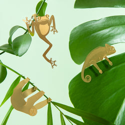 Plant Animal - Various Designs
