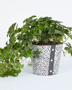Large Spores Print Plant Pot Cover by Studio Wald at Albert & Moo