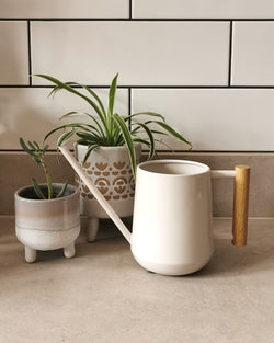 Stone Indoor Watering Can by Burgon & Ball at Albert & Moo