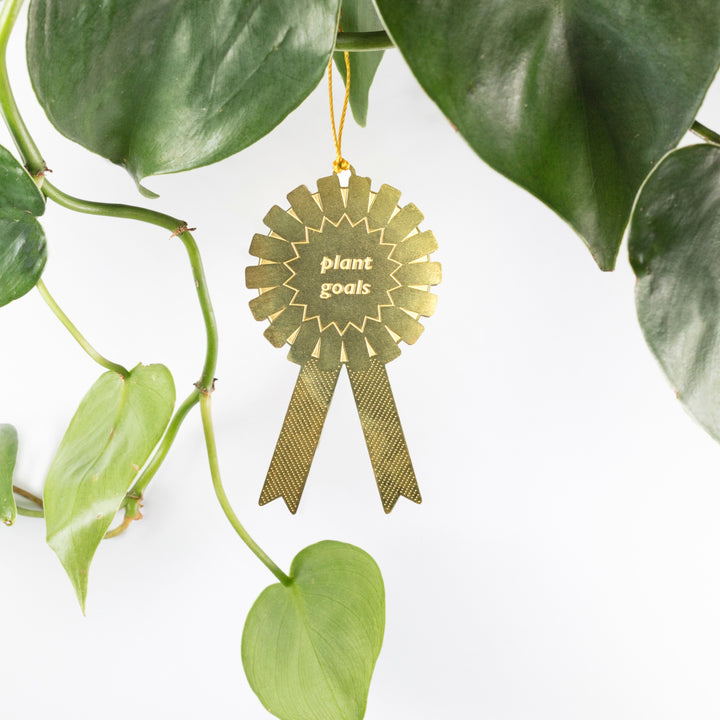 Plant Award by Another Studio at Albert & Moo